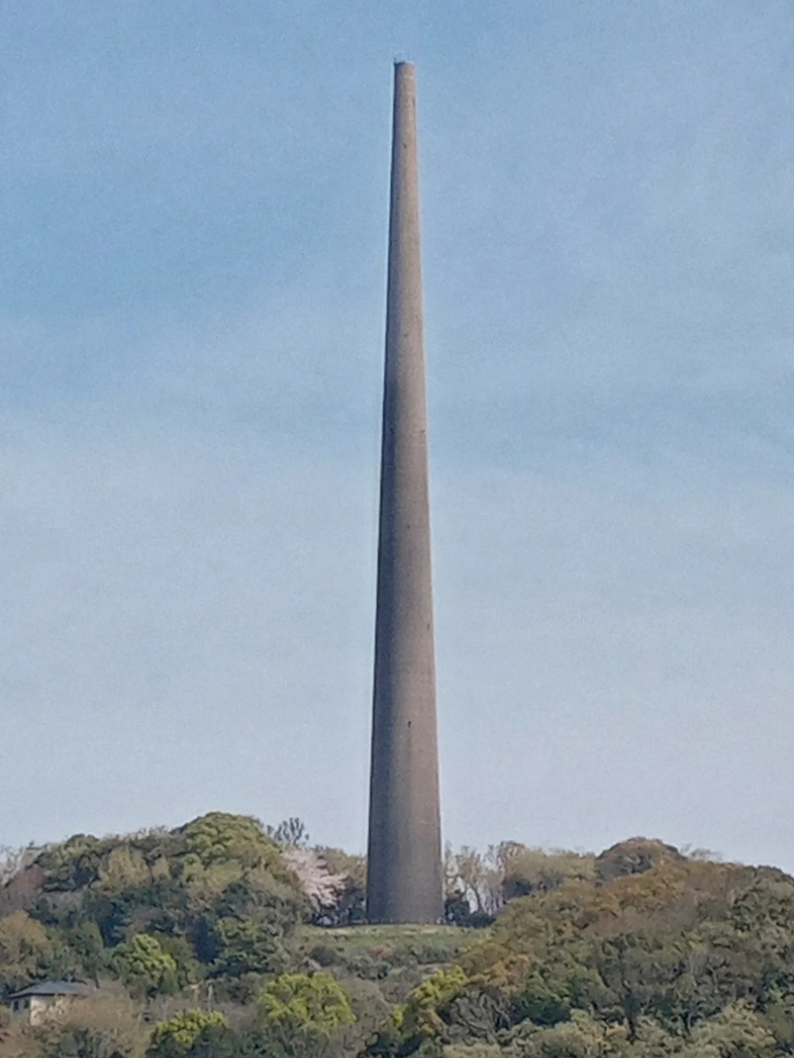 桜と３号塔